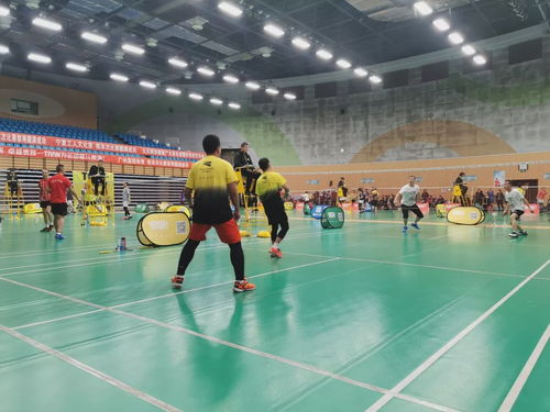 2019川崎慈善杯暨九天網(wǎng)羽羽毛球團體邀請賽 網(wǎng)絡(luò)競技與公益交融的盛會圓滿成功